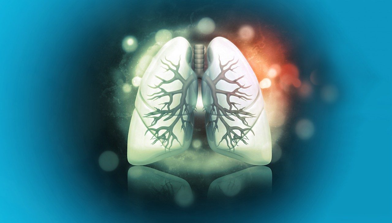 Image of lung on blue background