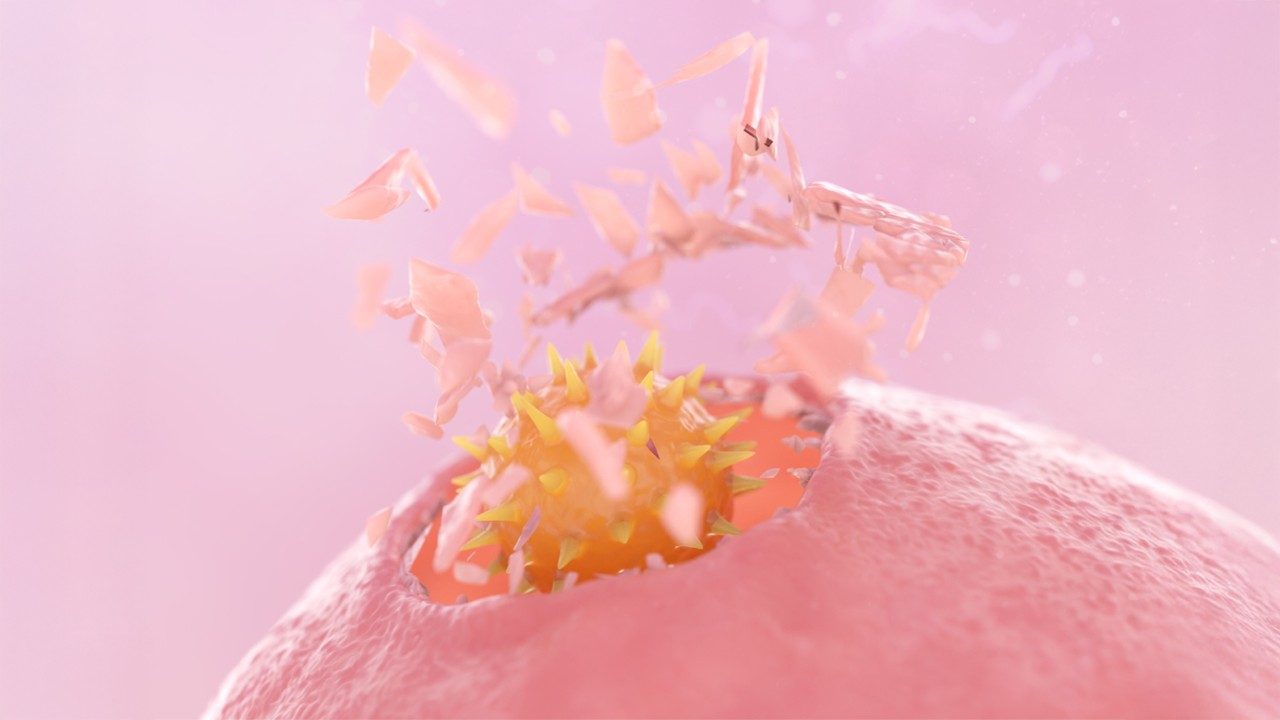 CAR NK cell