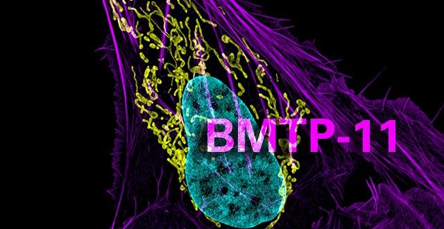 BMTP-11 for osteosarcoma