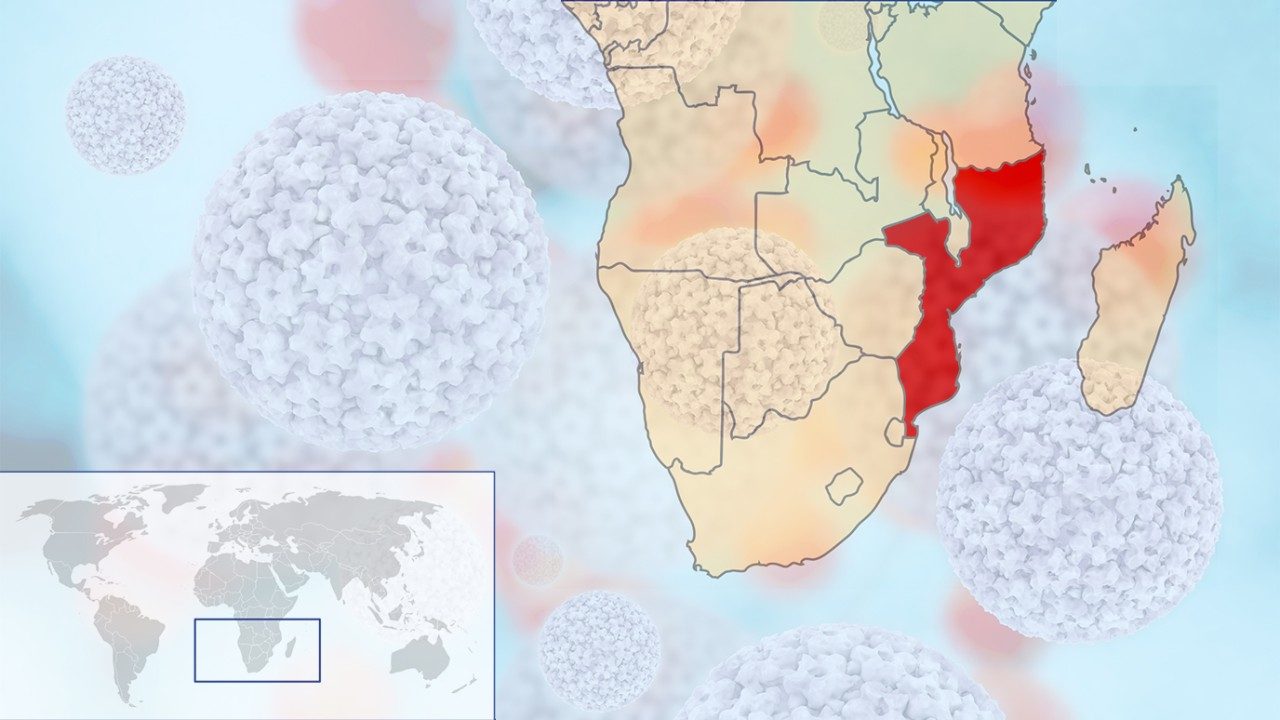 A collaborative project involving researchers from MD Anderson has been awarded a $5.1 million grant to evaluate innovative approaches to increase screening and prevention of cervical cancers in Mozambique.