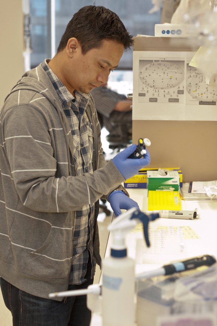 Lozano lab members are p53 pathway experts