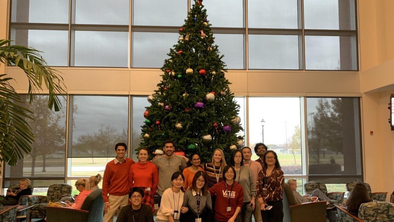 Sood Lab members in front of a Christmas tree