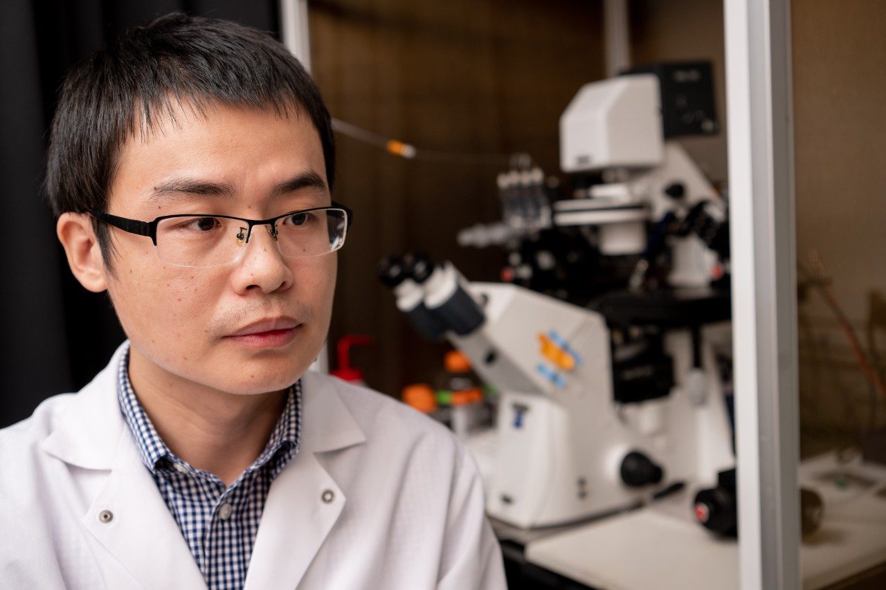 Guanxing Chen, Ph.D. works in the lab of Jiusheng Yan, Ph.D.
